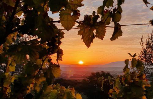 Agriturismo Il Vecchio Mandorlo - Foto 45