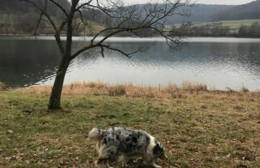 Ländliche Fewo Wildblume, 4 km zum Stausee - Foto 40