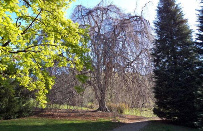 Villa Alba Malpensa - Foto 49