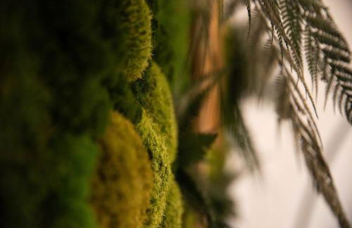 Business Apartments Erfurt - Parkplatz - WLAN - Nähe Klinikum zentral - Foto 12