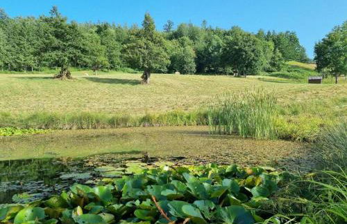 Oasi di pace nella Val di Taro - Photo 14