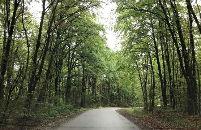 Beautiful Wooden Cottage in Nature, Croatia - Photo 16