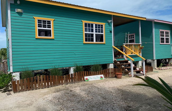 The Lily Pad - Photo 18