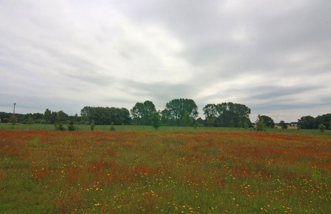 Gemutliche Ferienwohnung in Korchow - Foto 34
