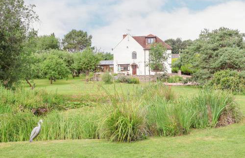 Pringles Orchard - Photo 33