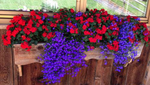 Chalet Tobià Apartments - Foto 2, Other