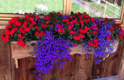 Chalet Tobià Apartments - Foto 2