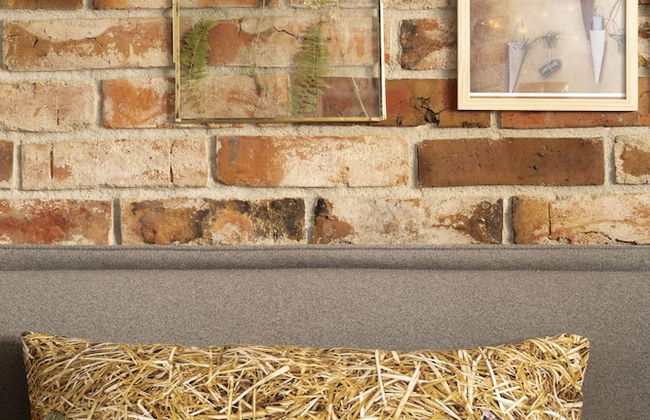 Green Deer Premium - Foto 47