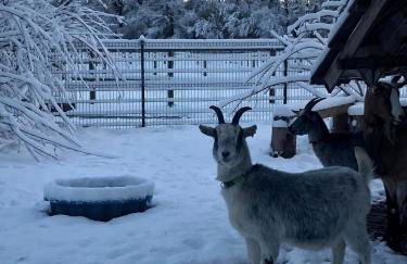 Gîtes du Tichweg - Foto 26