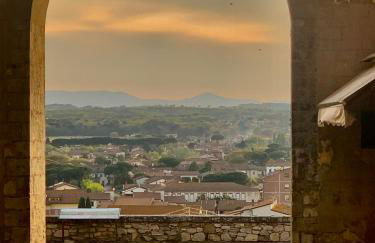 La Gemma del Subasio nel Castello di Collepino - Spello - Photo 69