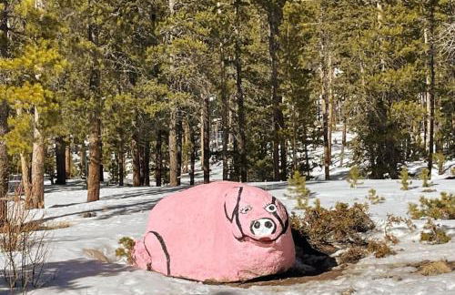 Shady Pines- Cozy Mountain Retreat - Foto 12