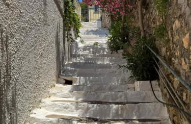 Little 1836 - Foto 16