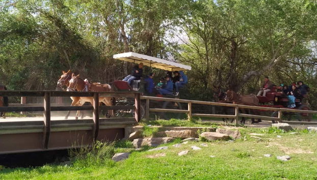 Tour in Almonte - Photo 4