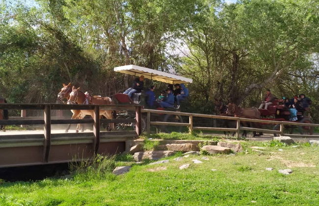 Tour in Almonte - Photo 4