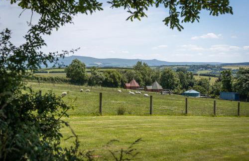 Dartmoor Eco-Pod - Oak Tree Lane - Foto 23
