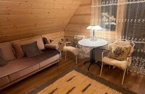 Mazury "Willa Ślimakowo" w Pasymiu - jacuzzi, sauna, pomost, łódka, rower wodny - Photo 19