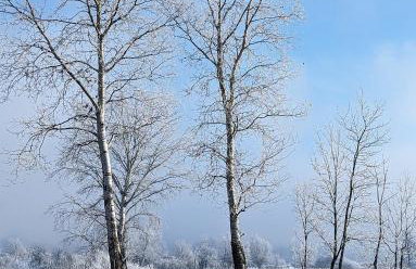 Wooden house Lekneno, near the airport - Foto 35