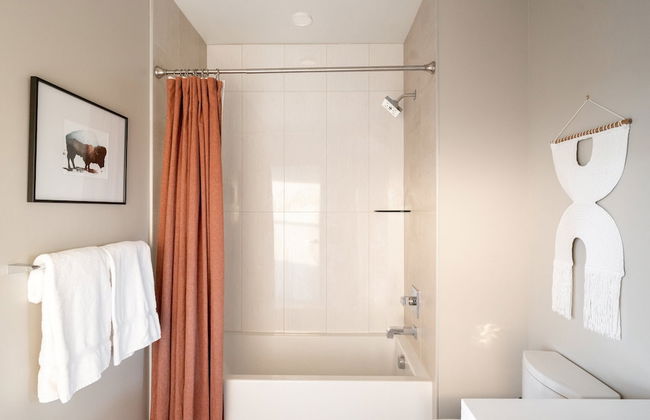 Bold & Elevated | Espadin LoHi - Foto 14