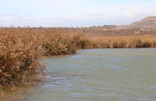 Apartalux Vera Palace - Foto 41