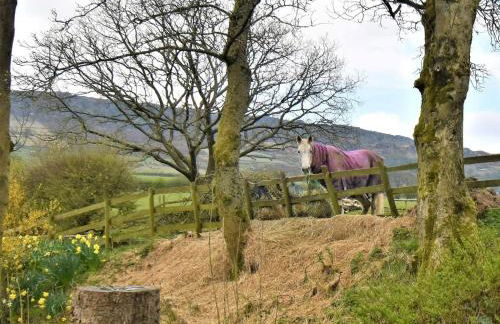 1 Bed in Leek oc-87507 - Foto 24