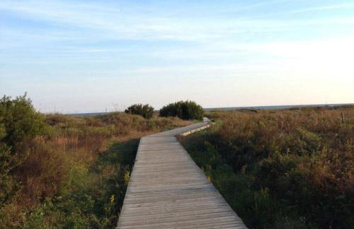 Green Whale - Photo 30