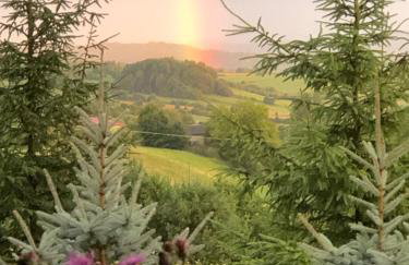 U Wrót Bieszczad - Foto 41