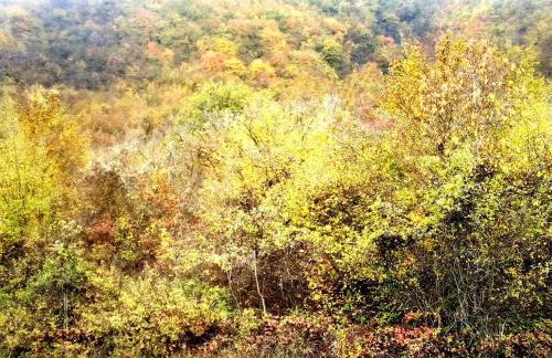 Cascina Bruna - Terrazza panoramica e giardino a Bobbio, Val Trebbia - Foto 53