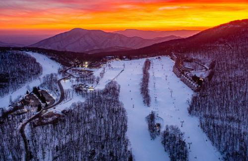 Three Ridges 64 With Wintergreen Advantage - Foto 15