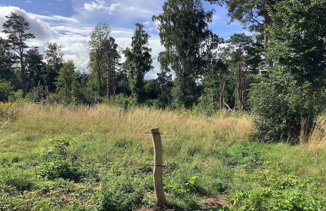 8 Person Holiday Home in Tisvildeleje - Foto 16