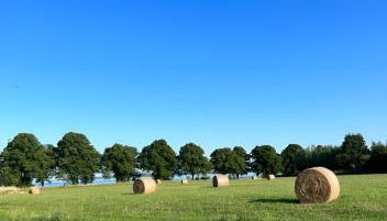 Seegras - Ferienhaus mit Kamin, Sauna und Meerblick - Foto 4