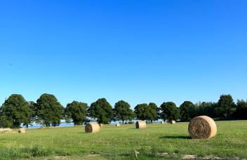 Seegras - Ferienhaus mit Kamin, Sauna und Meerblick - Foto 4