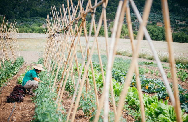 Hotel Monnàber Vell - Foto 55