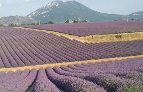 Se ressourcer au calme - Foto 16