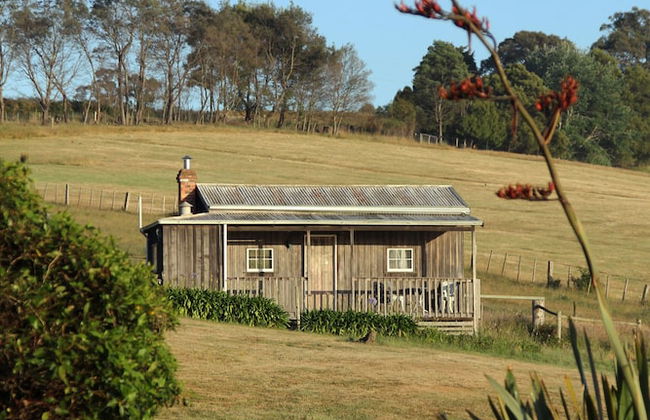 Wines for Joanie Cottage - Foto 18