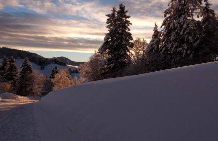 Schöne Aussicht - Foto 25