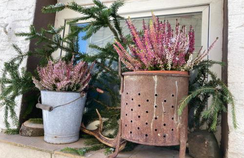 Ferienhaus Im Grünen - Foto 6