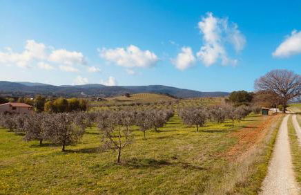 Agricampeggio La Piaggia - Agriturismo - Foto 21
