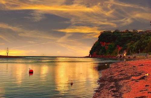 Charming Countryside Cottage Ground Floor Apartment in Combeinteignhead Devon - Foto 27