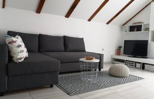 Apartman Milutin - Foto 4