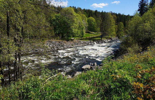 4 Person Holiday Home in Bengtsfors-by Traum - Photo 4