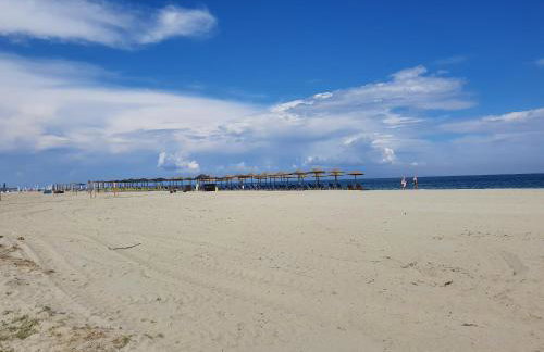 Calypso Beach Hotel - Foto 54