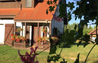 Miętkie Pole - Foto 4