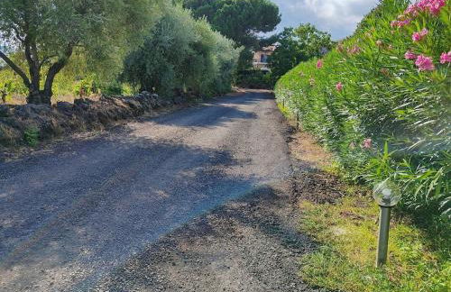 Villa Persea - Foto 29