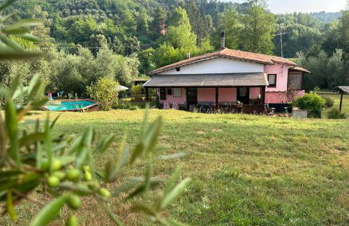 Agriturismo Campolungo - Foto 77