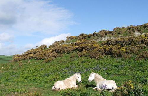 Bryn-y-Gof - Photo 22