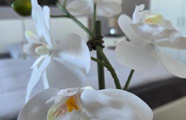 Mutti 's Haus -Zur Südheide - Foto 31