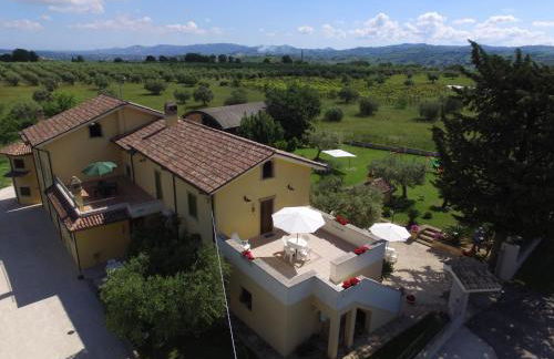 Agriturismo Il Casolare Di Nonno Mario - Foto 42