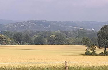 Le Cottage de L Abbaye - Photo 7