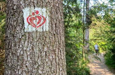 Harzpur Lodge - Pure Entspannung in purer Natur - Foto 74