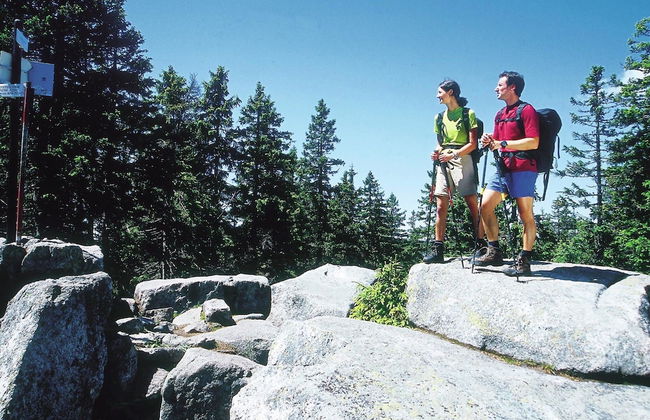 Cozy Apartment in Gosau With Shared Sauna - Foto 26